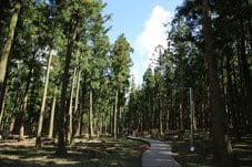 크기변환_제주도_032