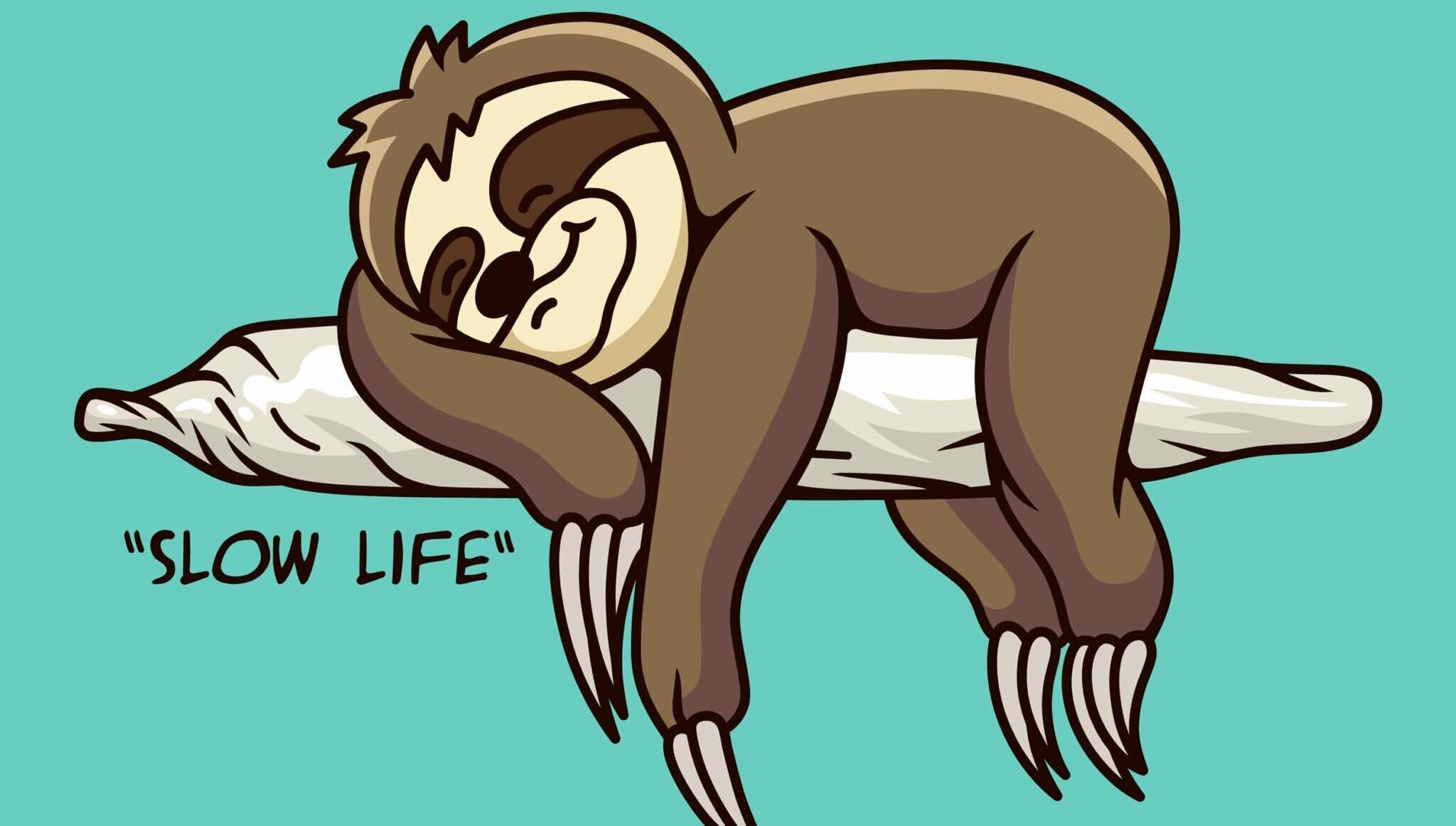 韓国の「スローライフ」という文字が刺繍された枕の上で安らかに眠るナマケモノ。 韓国の「スローライフ」という文字が刺繍された枕の上で安らかに眠るナマケモノ。