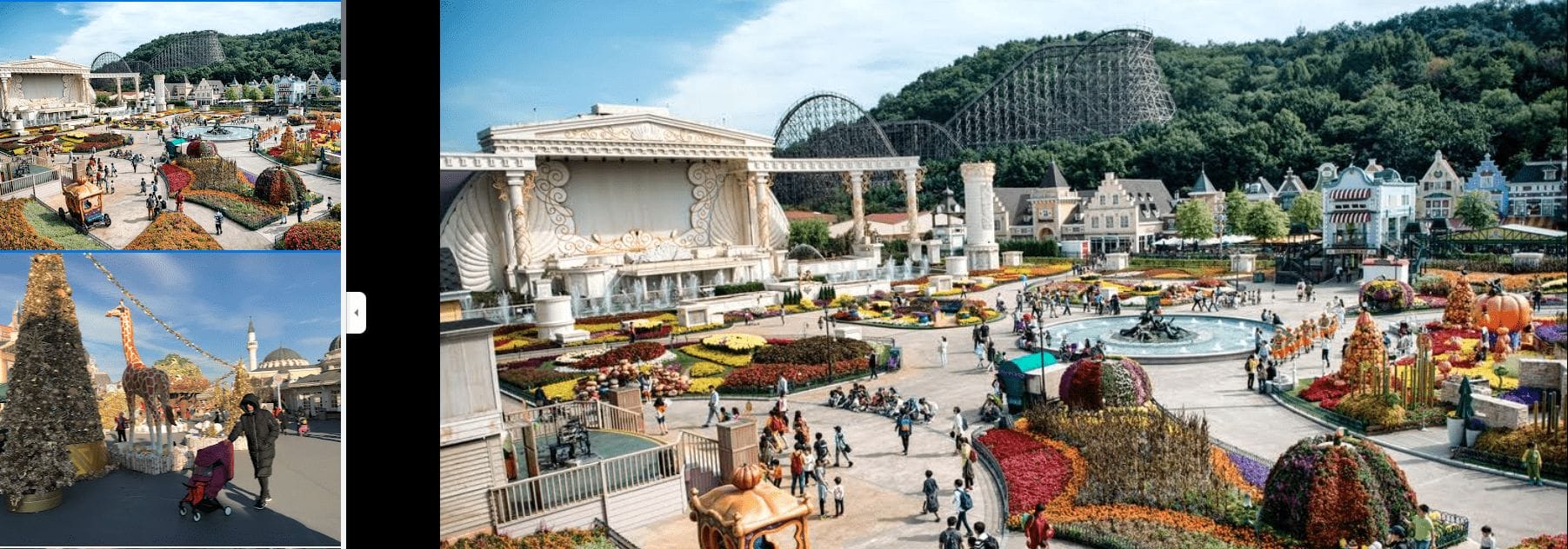 韓国の人と花のある公園の写真のコラージュ。