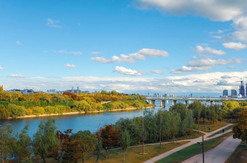 木々と川のある韓国の公園。