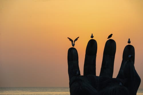 韓国の美しさをイメージした、繊細な鳥をあしらった手元。