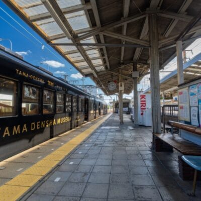 駅のホームには、左側に「たま電車ミュージアム」と書かれた黒い電車が停まっており、右側には大きなキリンの自動販売機が立っている。屋根付きの掲示板のそばには青い椅子が整然と並べられており、和歌山の穏やかな雰囲気を醸し出している。.