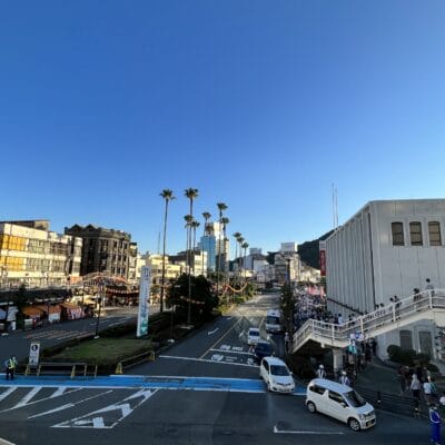 澄んだ青い空の下、建物やヤシの木が立ち並ぶ都会的な風景が広がります。通りは車と人で賑わっており、右側の歩道橋は活気に満ちた人々で賑わっており、文化がシームレスに交差する徳島、あるいはおそらく韓国語教室マンツーマンの近くの忙しい日々を思い出させます。.