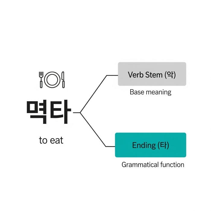 韓国語の動詞「먹다」が「語幹」と「語尾」に分解されている分かりやすい図解